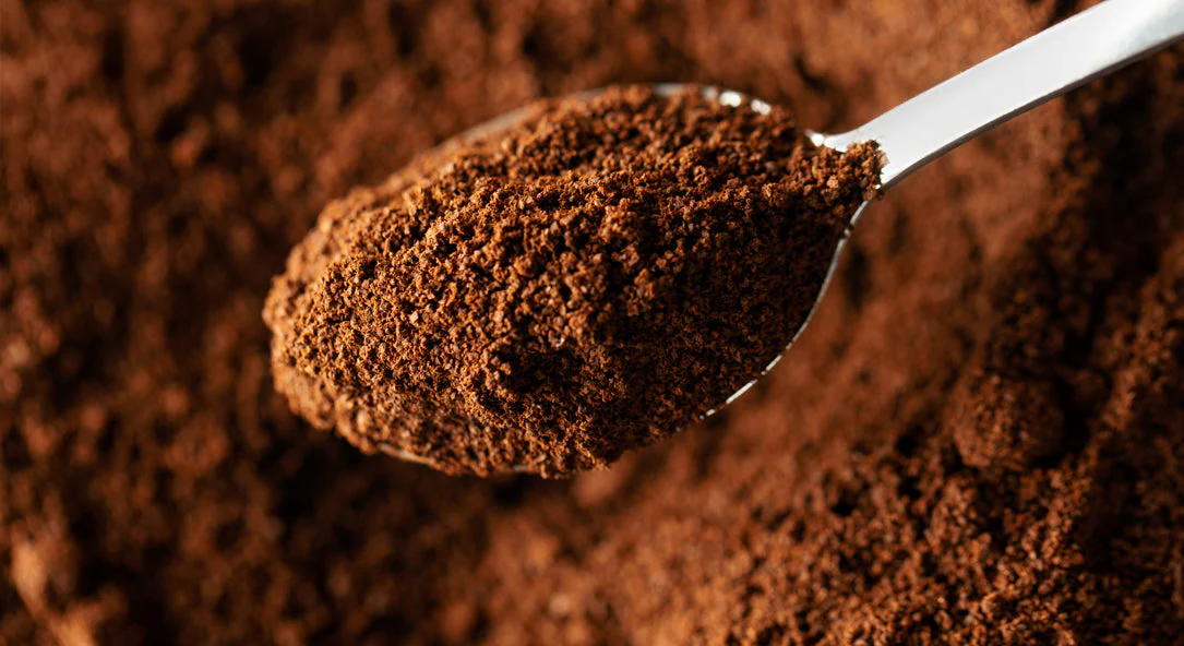 Fresh Roasted Specialty Coffee Delivered