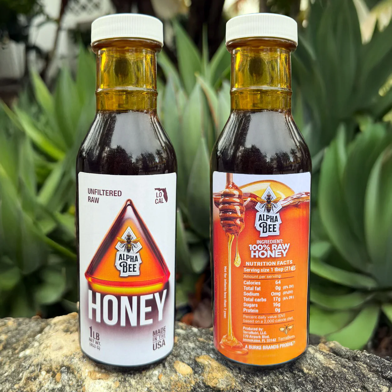 Alpha Bee Honey – Pure, Raw Florida Honey - Image 7