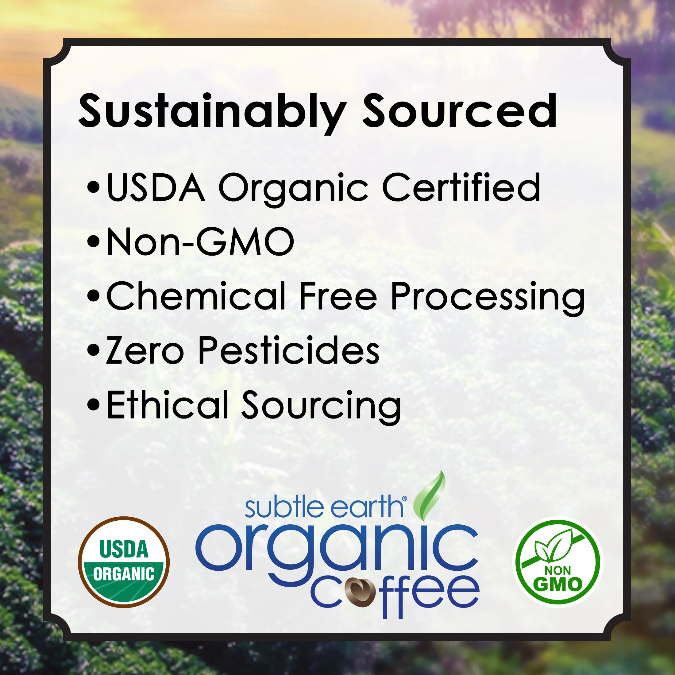 Subtle Earth Organic Coffee - Image 5